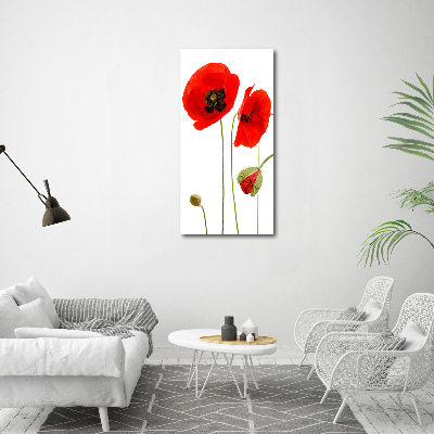 Print on acrylic Field poppies