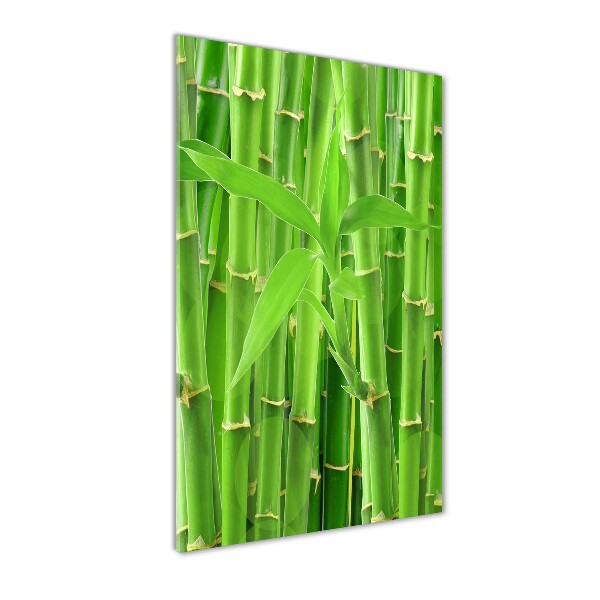 Print on acrylic Bamboo forest