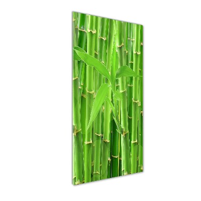 Print on acrylic Bamboo forest