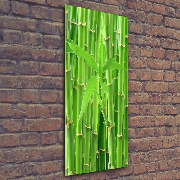 Print on acrylic Bamboo forest