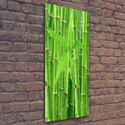 Print on acrylic Bamboo forest