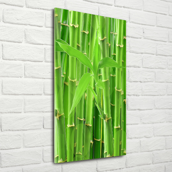 Print on acrylic Bamboo forest