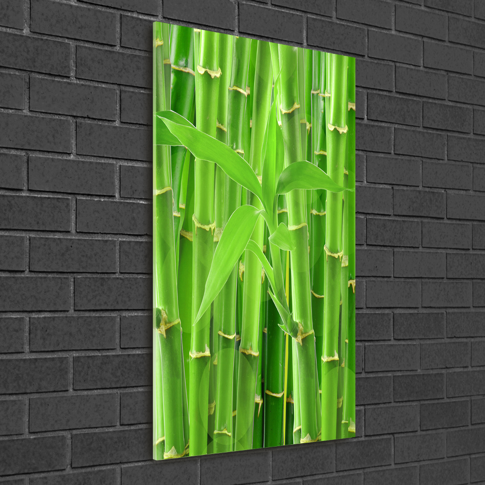 Print on acrylic Bamboo forest