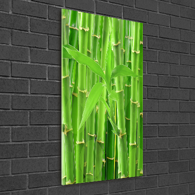 Print on acrylic Bamboo forest