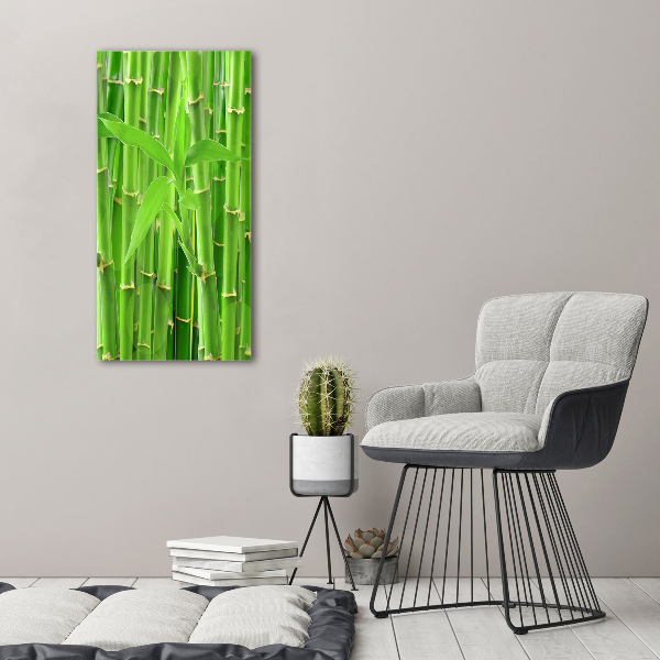 Print on acrylic Bamboo forest