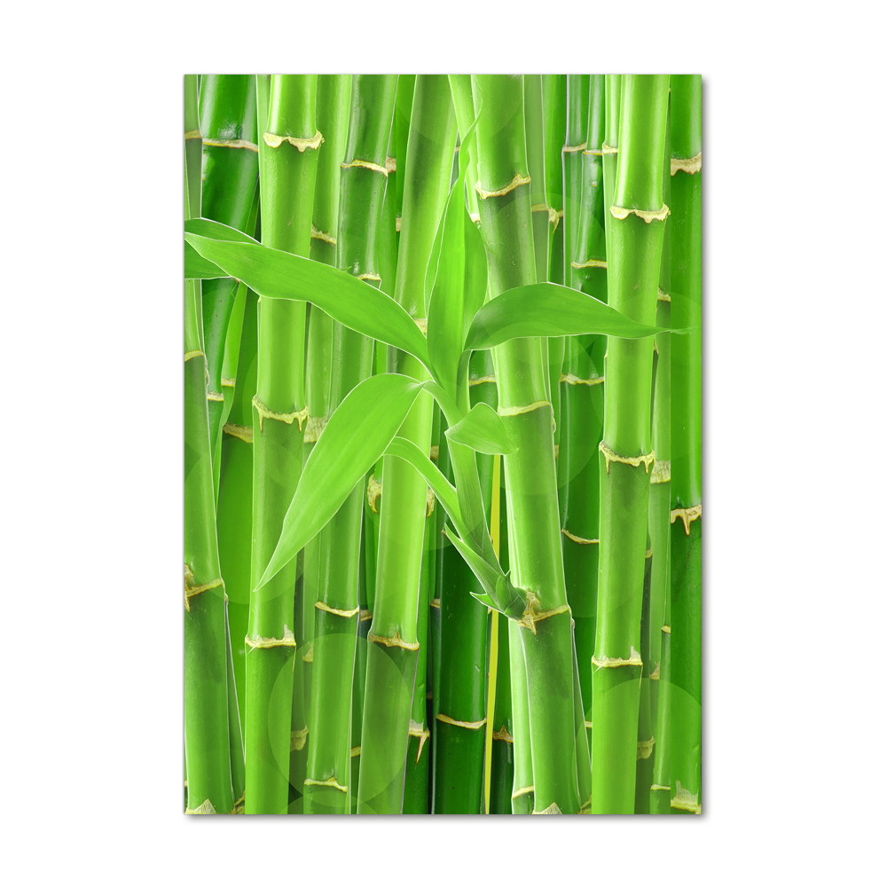 Print on acrylic Bamboo forest