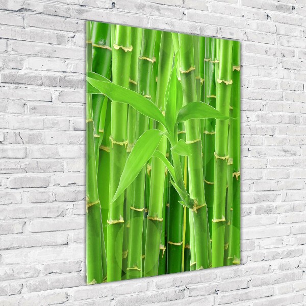 Print on acrylic Bamboo forest