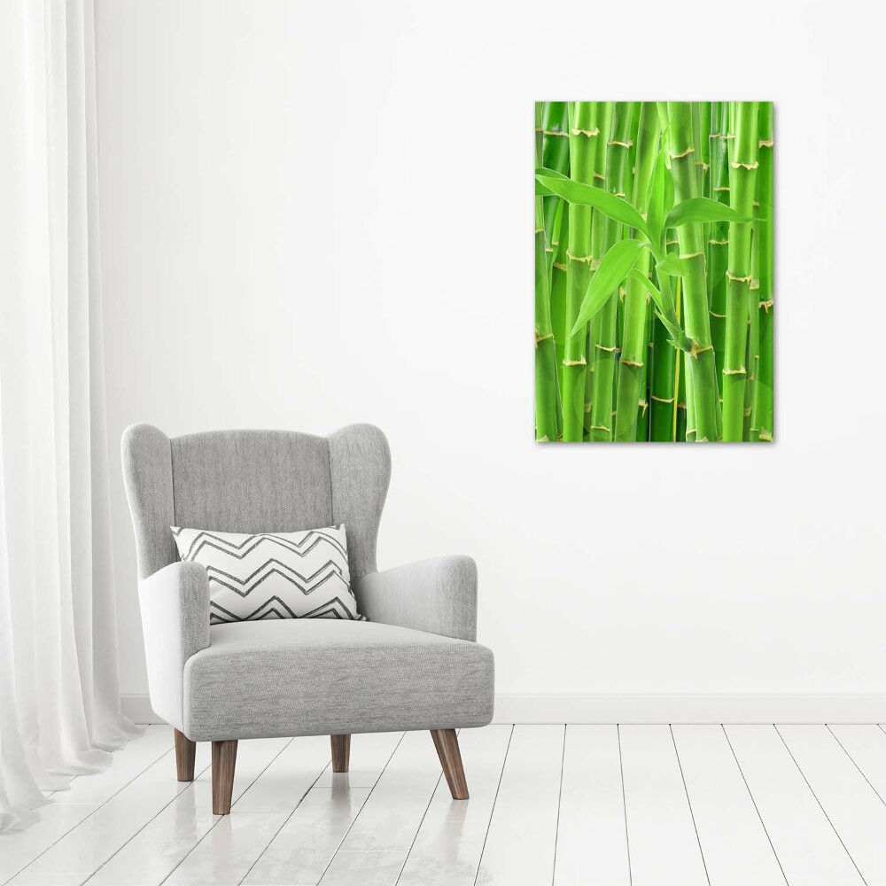 Print on acrylic Bamboo forest