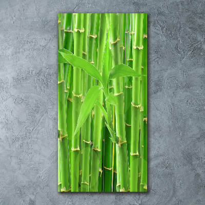 Print on acrylic Bamboo forest