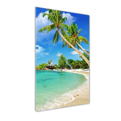 Acrylic print Tropical beach