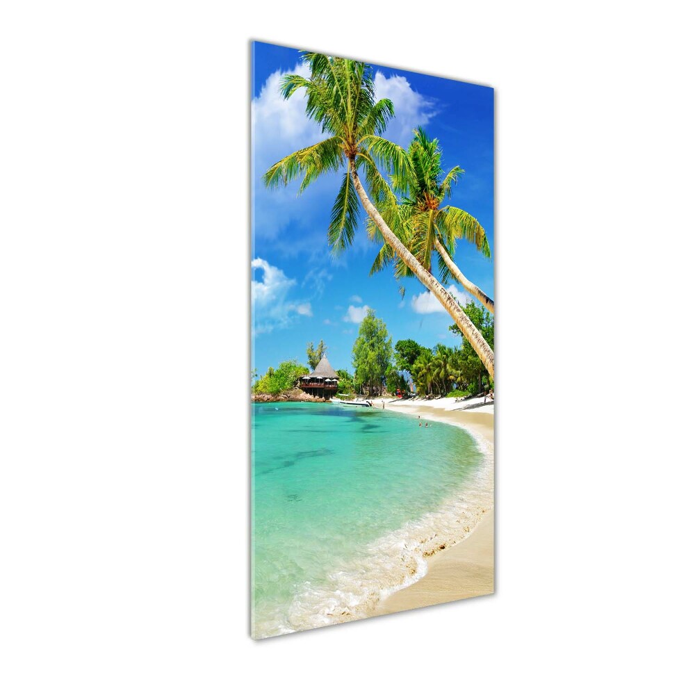 Acrylic print Tropical beach