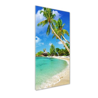 Acrylic print Tropical beach