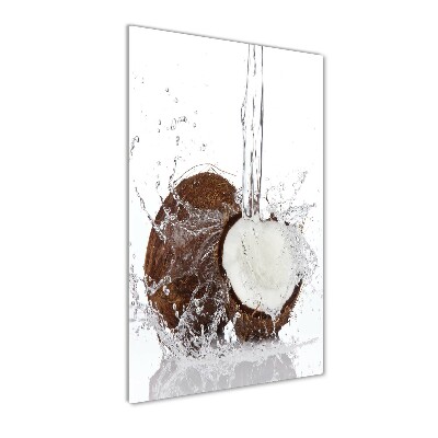 Acrylic wall art Coconut