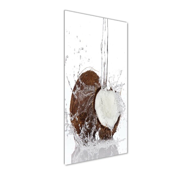 Acrylic wall art Coconut