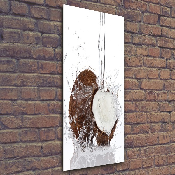 Acrylic wall art Coconut