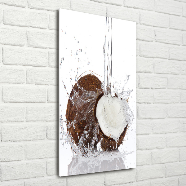 Acrylic wall art Coconut