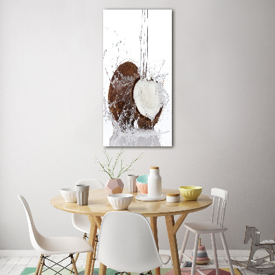 Acrylic wall art Coconut