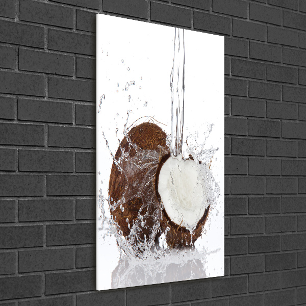 Acrylic wall art Coconut