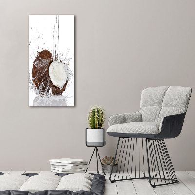 Acrylic wall art Coconut