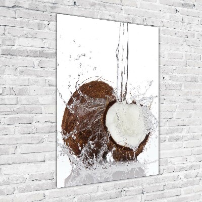 Acrylic wall art Coconut