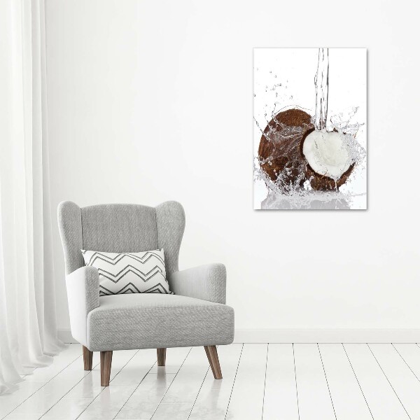 Acrylic wall art Coconut