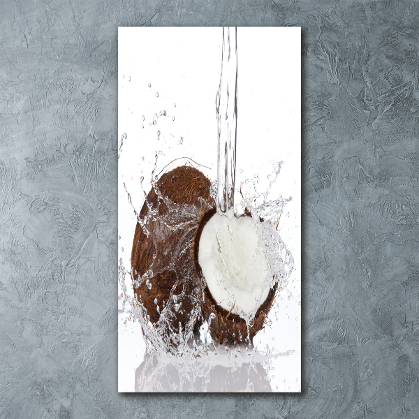 Acrylic wall art Coconut