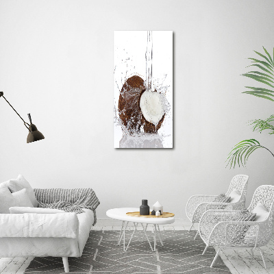 Acrylic wall art Coconut