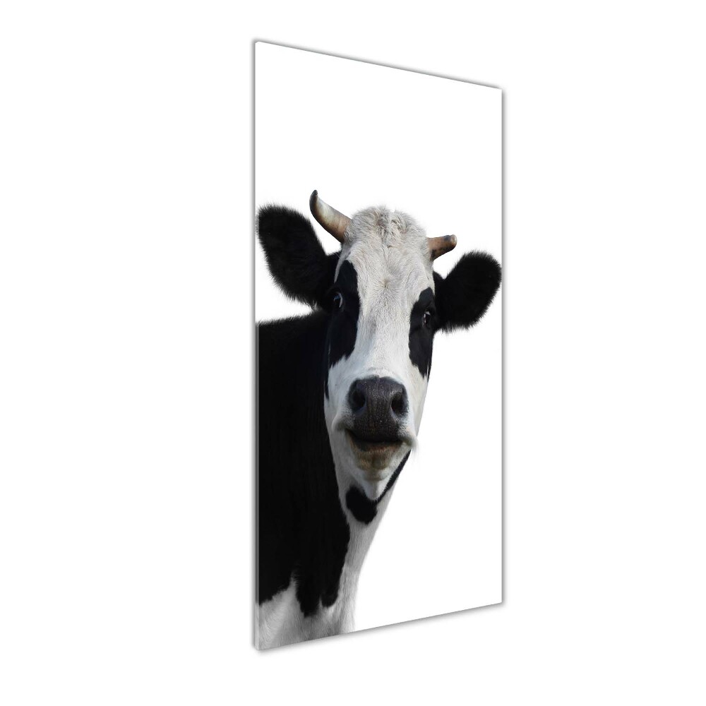 Acrylic wall art Spotted cow