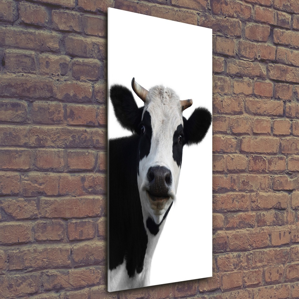 Acrylic wall art Spotted cow