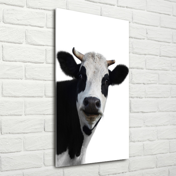 Acrylic wall art Spotted cow