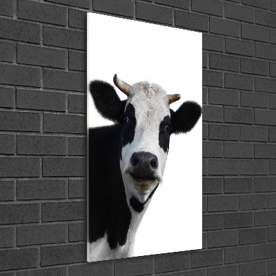 Acrylic wall art Spotted cow