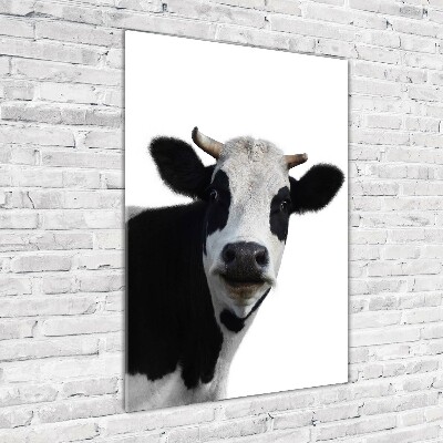 Acrylic wall art Spotted cow