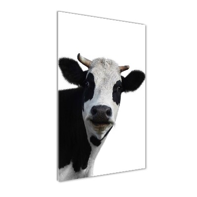 Acrylic wall art Spotted cow