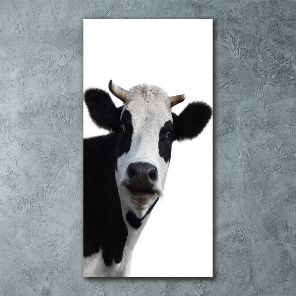 Acrylic wall art Spotted cow