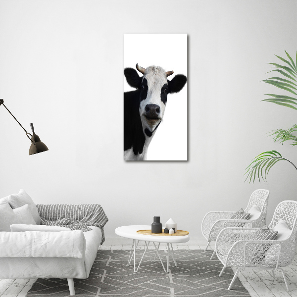 Acrylic wall art Spotted cow