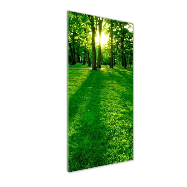 Acrylic print The sun in the park