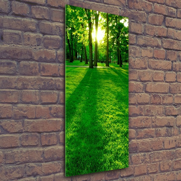 Acrylic print The sun in the park