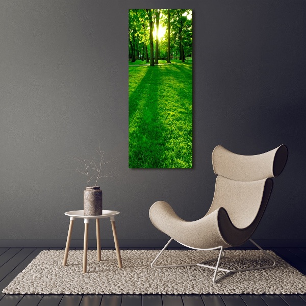 Acrylic print The sun in the park