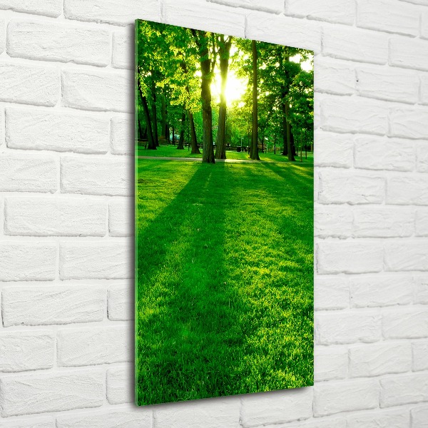 Acrylic print The sun in the park