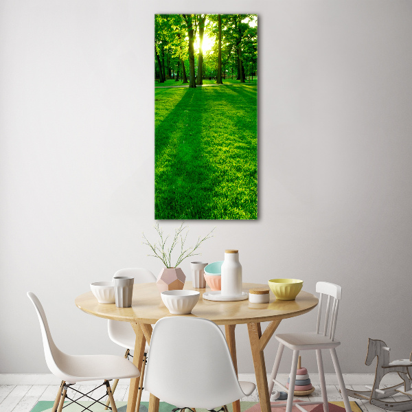 Acrylic print The sun in the park