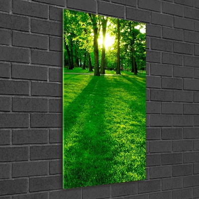 Acrylic print The sun in the park