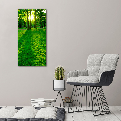 Acrylic print The sun in the park