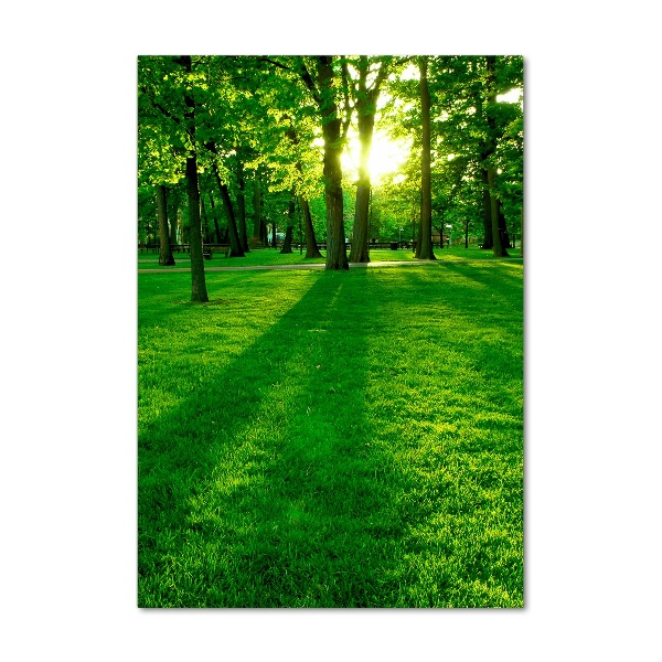 Acrylic print The sun in the park