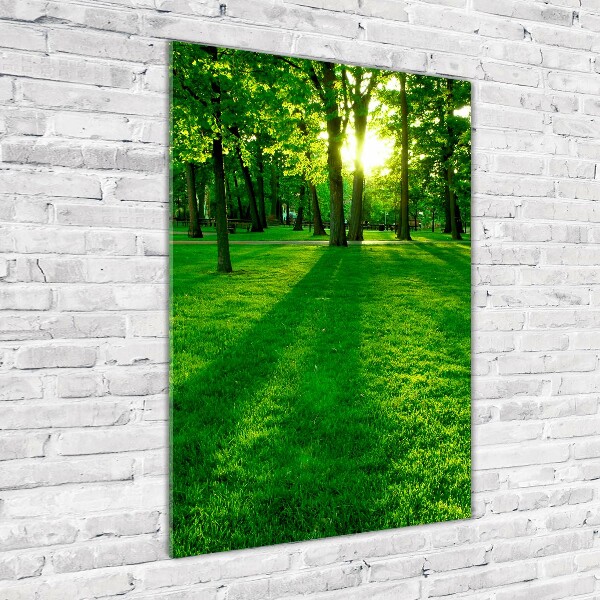 Acrylic print The sun in the park