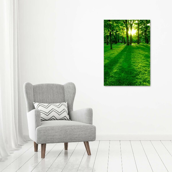 Acrylic print The sun in the park