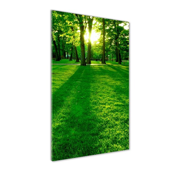 Acrylic print The sun in the park