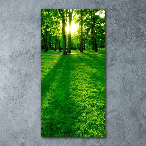 Acrylic print The sun in the park