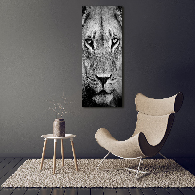 Acrylic print Portrait of a lion