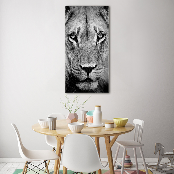 Acrylic print Portrait of a lion