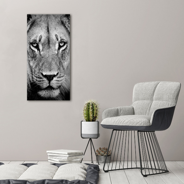 Acrylic print Portrait of a lion